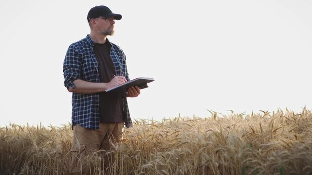 Adult farmer making notes in a notebook while standing in the middle of a ripe wheat field, capturing agricultural planning, crop inspection and modern farming.