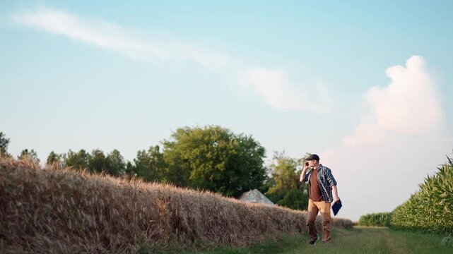 Adult farmer talking on a smartphone while walking along a ripe wheat field, coordinating harvest operations and managing agricultural business in the countryside.