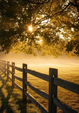 Golden sunlight filters through autumn leaves during a cool morning as mist rises from the ground near a rustic wooden fence in a field, chilly, foggy, golden