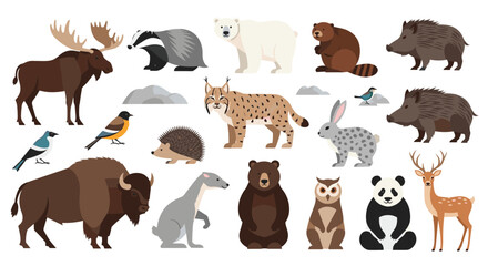 Obraz premium Forest wild animals set featuring moose, bear, lynx, beaver, hedgehog, and other woodland fauna on a white background.