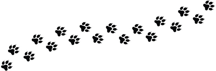 Paw footprint walk steps pattern for dog cat and wild animal tracks vector ©  