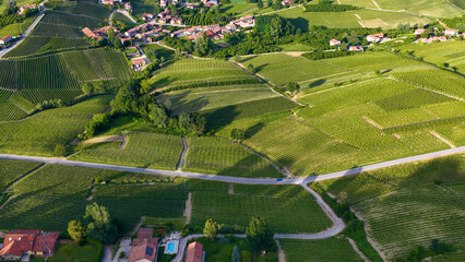 Obraz premium Aerial View of Rolling Green Vineyards and Countryside Village in Italy
