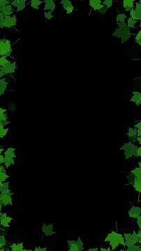 green maple leaves flying border frame alpha channel 4k animation, realistic leaf on transparent background,nature and environment vertical social media motion design element
