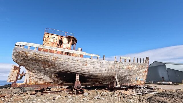 Derelict wooden fishing vessel Hofrungur AK 91 on props in Akranes harbour, rusted hull under blue sky, West Iceland, Iceland