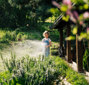 Happy little girl in denim overalls watering green lawn with garden hose on a sunny summer day
