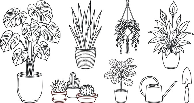 Houseplant and indoor gardening line icon set with monstera snake plant peace lily fiddle leaf fig cactus watering can