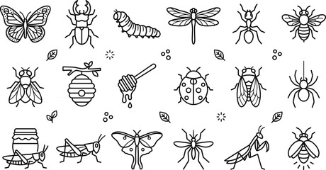Insects and bugs linear icon set with butterfly beetle caterpillar dragonfly ant bee ladybug spider grasshopper and mantis © Hafizul