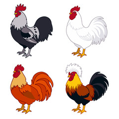 Distinct Rooster Varieties Including White and Crested Breeds - Animals Illustration Isolated on Transparent Background © Hari