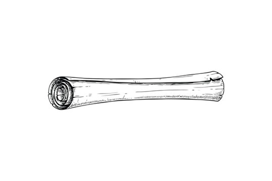 Vintage Metal Horn