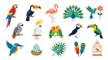 Obraz premium Colorful Tropical Birds Collection, Flat Vector Illustrations