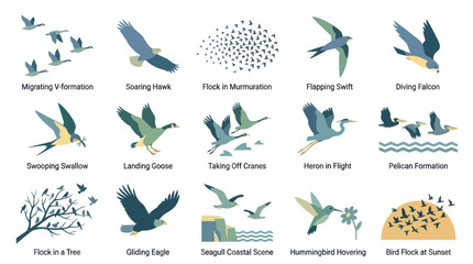 Obraz premium Diverse Bird Flight Behaviors and Groups Vector Art