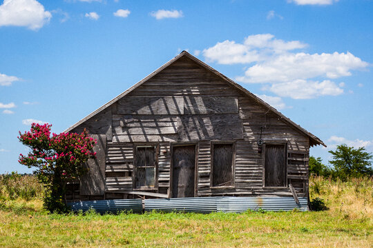 Abandoned Sharecropper's House
