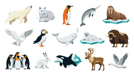 Obraz premium Arctic and Polar Animals Flat Vector Set. Cute Cartoon Wildlife Illustrations for Education Nature Projects