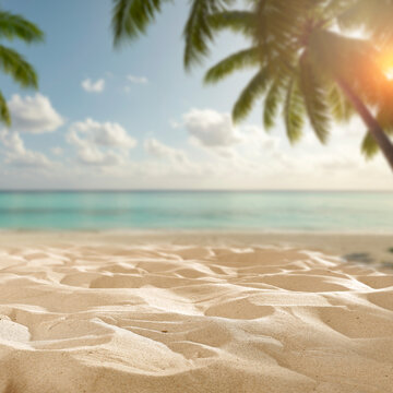 Sandy beach with palm tree and copy space &ndash; tropical summer product background