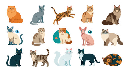 Obraz premium Collection of Various Cat Breeds in Flat Design Vector Illustration Style for Pet and Animal Concepts