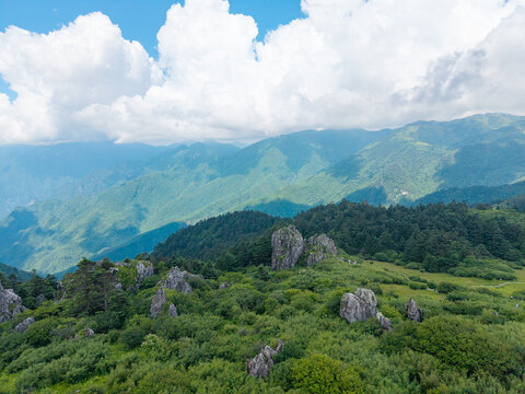 Serene landscape in Shennongjia National Park with rolling green hills and distant peaks