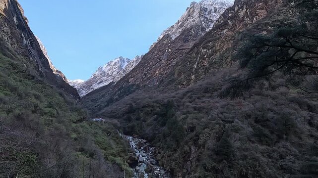 Snow peaks above the forested Modi Khola gorge with a glacial stream, Annapurna, Nepal