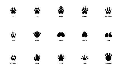 Fototapeta premium Animal Paw Prints and Footprints Illustration Set with Dog, Cat, Bear, Rabbit, Raccoon, Fox, Wolf, Deer, Horse, Cow, Squirrel, Duck, Otter, Frog