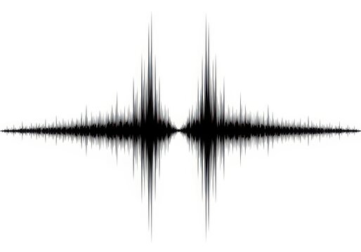Black and white sound wave graphic isolated on white background
