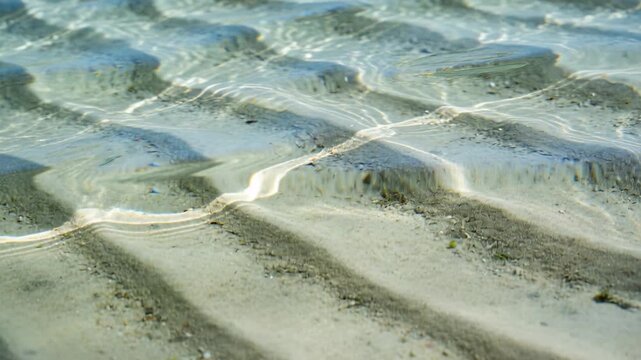 Shifting sun-caustics over rippled sand, wavelets nudging sediment and detritus at lagoon flat