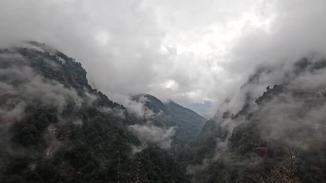 Cloud-filled forested valley seen through drifting mist, Annapurna region, Nepal Himalayas
