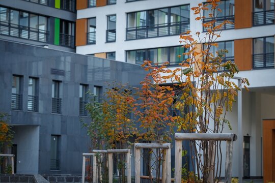 Courtyard with young trees and wooden benches surrounded by apartment buildings