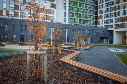 Courtyard path lined with young trees and wooden benches near apartment buildings