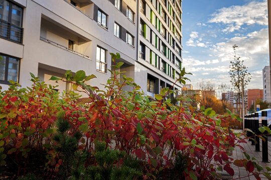 Autumn colored shrubs along paved pathway near apartment building under blue sky