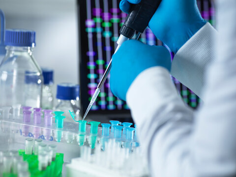 Scientist pipetting DNA sample into eppendorf tube for genetic testing
