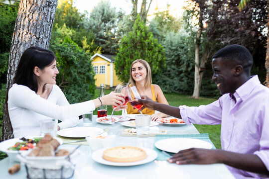 Friends toasting with wine ata summer dinner in the garden