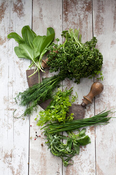 Herbs of Frankfurt green sauce and mezzaluna