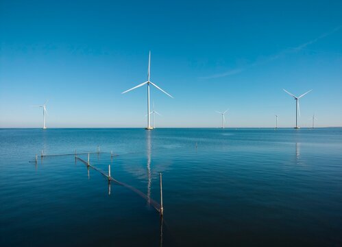Wind turbines stand in IJsselmeer lake behind a fishing net