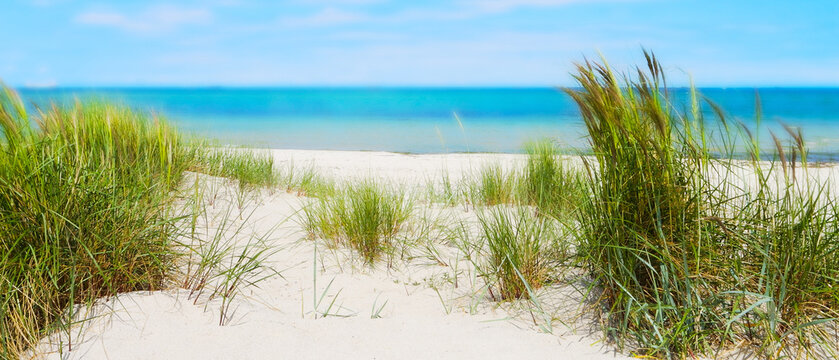 blurred background scenery baltic sea beach with white sand and green dune grasses in foreground, backdrop with copy space for beach holiday, travel and vacation