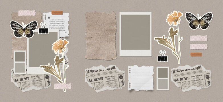 scrapbook layout element set. newspaper, tornpaper, flower, butterfly