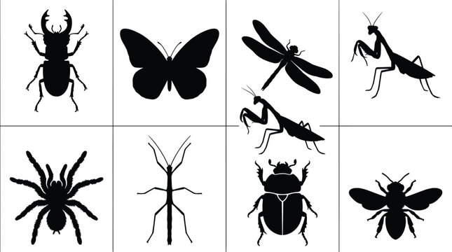 Insects and bugs vector icons set featuring stag beetle butterfly dragonfly praying mantis tarantula spider stick insect scarab and bee