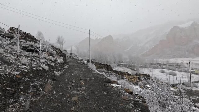 POV walking snowy mountain trail past frosted bushes in snowfall, Dhakmar, Upper Mustang, Nepal