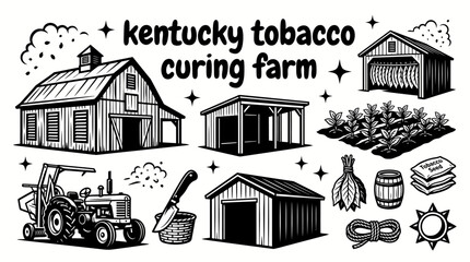 tobacco farming operation in kentucky featuring cultivated tobacco fields curing barns drying sheds harvesting equipment storage buildings and organized agricultural production creating a historic © samira