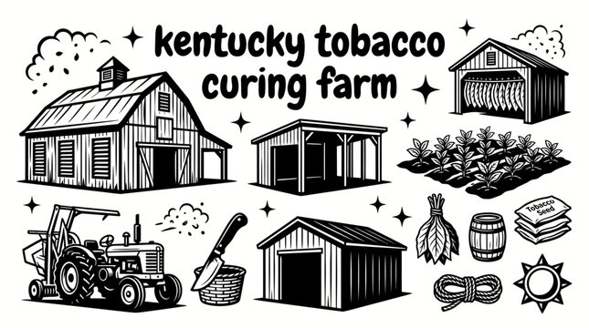tobacco farming operation in kentucky featuring cultivated tobacco fields curing barns drying sheds harvesting equipment storage buildings and organized agricultural production creating a historic