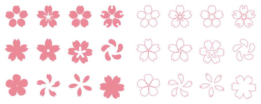 Sakura cherry blossom flower icon collection set with pink petals outline and solid silhouette shapes for japanese spring season design.
