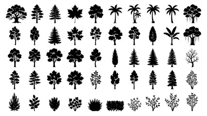Various deciduous tropical and coniferous tree silhouettes collection for design © Kapilbiswas