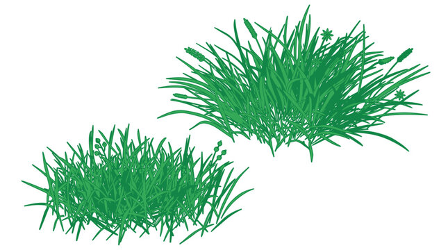 Ilustraci&oacute;n vectorial de dos matas de hierba verde fresca aisladas sobre un fondo blanco, ideales para dise&ntilde;o gr&aacute;fico, elementos de paisajismo y composiciones de naturaleza digital.
