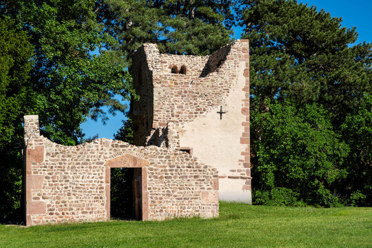 Ruine der St. Johannes-Pfarrkirche in Obernai im Elsass