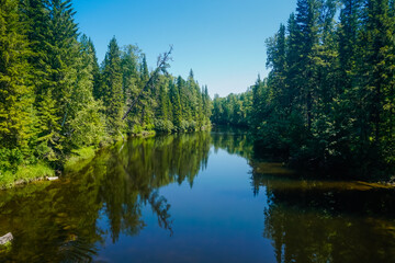 Fototapeta premium Picturesque taiga landscape by the river