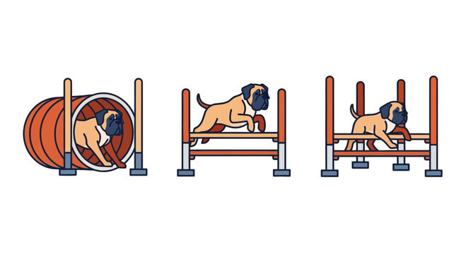 Bullmastiff dog agility training course vector illustration