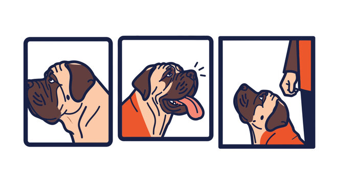 English Mastiff Dog Profile Facial Expressions and Training Panels