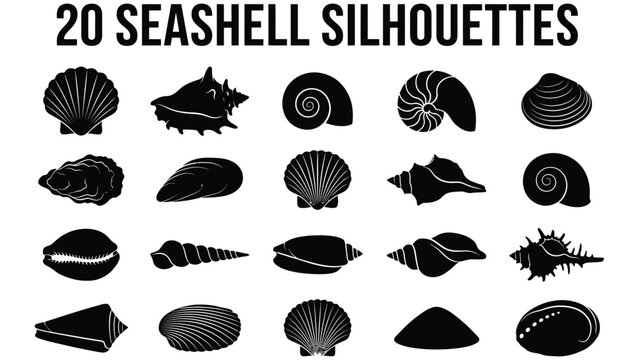 Blackandwhite illustration of various seashell silhouettes on white background