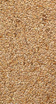 Detailed view on brown flax seeds in big pile on table close up