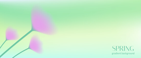 Obraz premium Gradient flower background with soft spring blur for beauty card and wellness banner. Pastel floral abstract backdrop in green grass with mint pink shadow. Gradient flower vector bg for spa poster