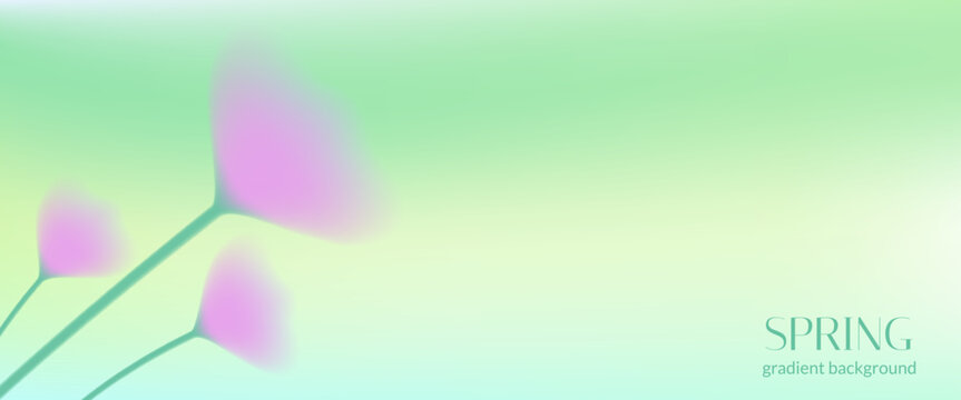 Gradient flower background with soft spring blur for beauty card and wellness banner. Pastel floral abstract backdrop in green grass with mint pink shadow. Gradient flower vector bg for spa poster