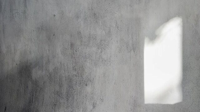 Sunlit window projection with soft leaf shadows on a brutalist concrete wall. Minimal architectural background for luxury branding, editorial, wellness, interior design, and motion graphics.